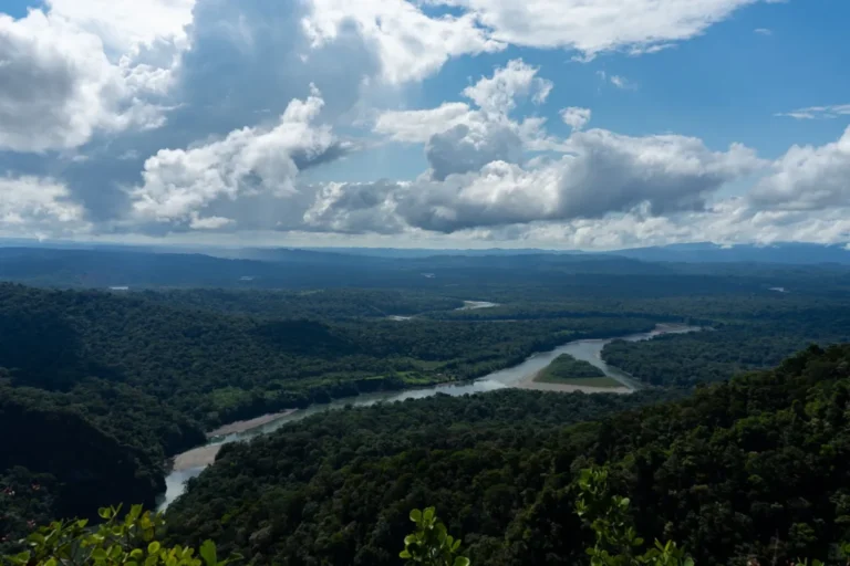 Expertos piden archivar proyecto de ley que pone en riesgo nuestras áreas naturales protegidas
