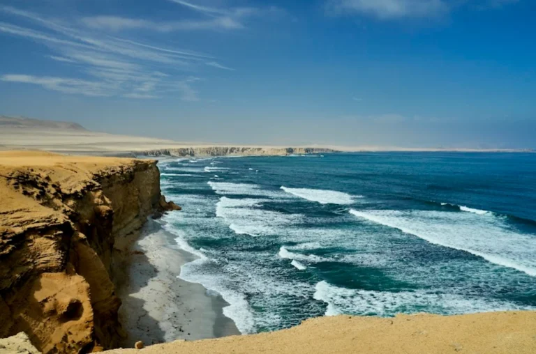 Reserva Nacional de Paracas celebrará 50 años como emblema de conservación y desarrollo sostenible