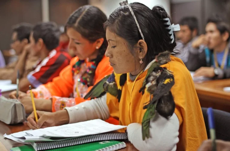 Cusco: Convocan curso gratuito para intérpretes de lenguas amazónicas