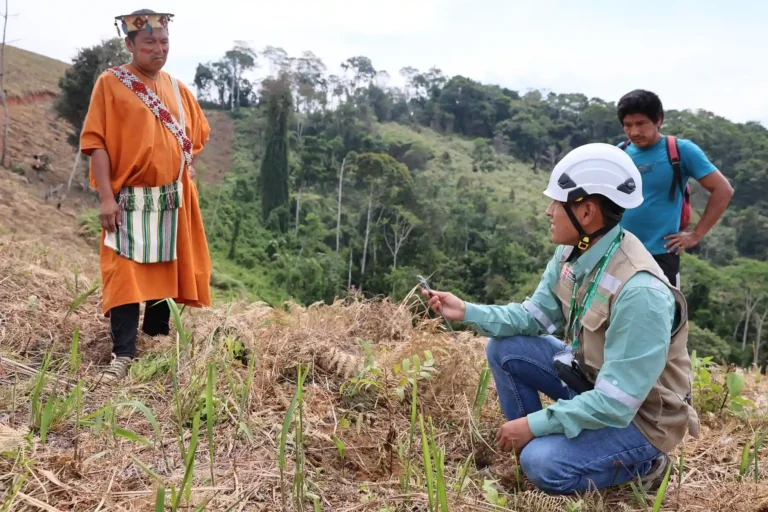 Junín: Comunidades indígenas restauran bosques para compensar multas forestales