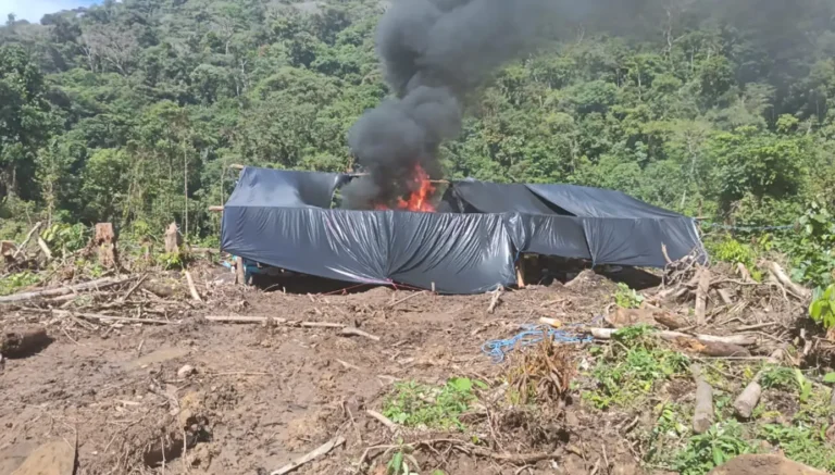 Destruyen 30 campamentos de minería ilegal en Amazonas