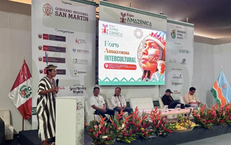 Un grito por la vida: Grupo Perú de Pueblos Indígenas exige seguridad y titulación para proteger a sus defensores