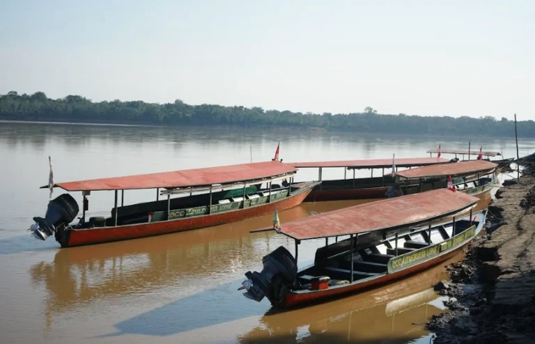 Eco Amazonía Lodge: Turismo que protege más de 4700 hectáreas de selva en Madre de Dios