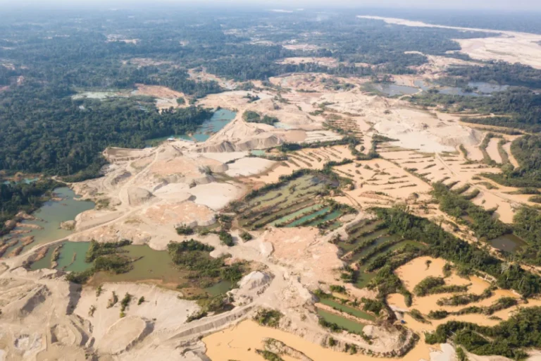 Nuevo índice del IPE revela que la mala gestión ambiental abre la puerta a la ilegalidad y frena la competitividad