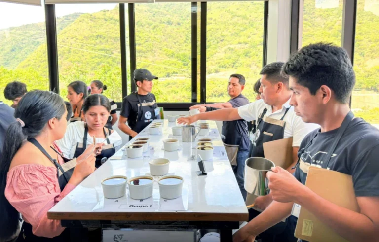 Relevo generacional: Hijos de cafetaleros del Vraem se forman como nueva generación de catadores