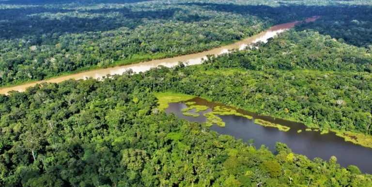 Perú impulsa enfoque integral para conservar cuencas, bosques y mares frente al cambio climático