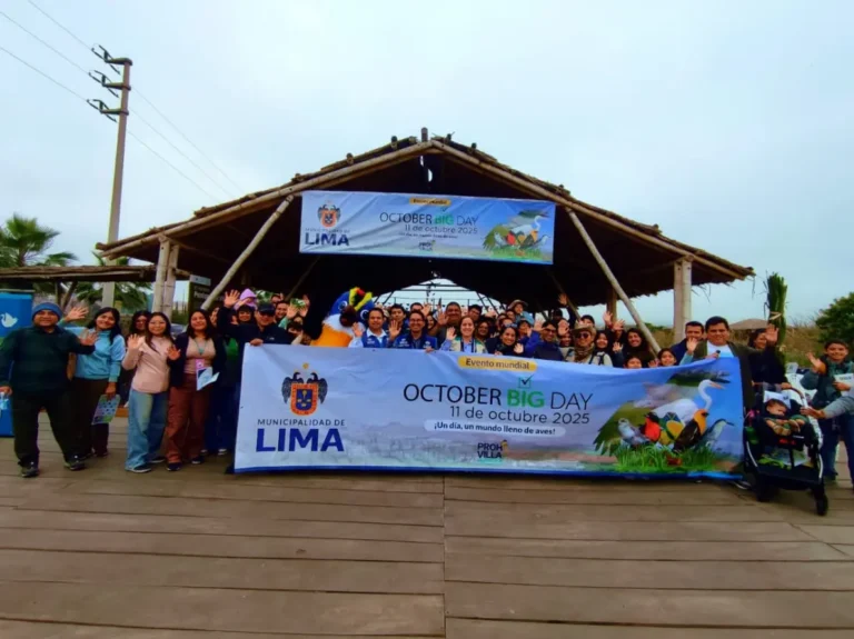 Pantanos de Villa lidera en Lima el avistamiento de aves durante el October Big Day 2025