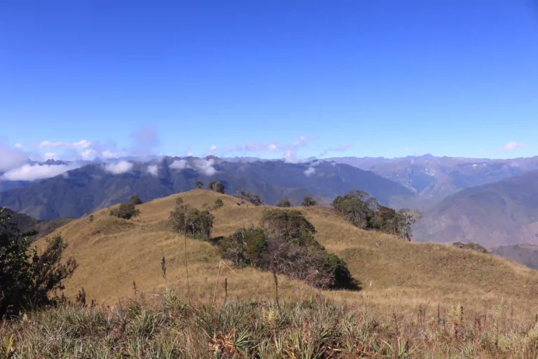 Huánuco: Nueva ACR San Pedro de Chonta resguarda ecosistemas únicos y beneficia a más de 41 700 habitantes