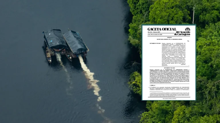 Comunidad Andina determina que el Perú vulneró normas regionales al mantener un sistema que protege la minería ilegal y agrava la contaminación amazónica