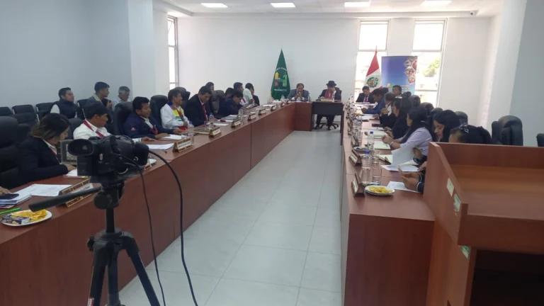 Detectan retrasos y deficiencias en proyecto de reforestación con bambú en Huánuco