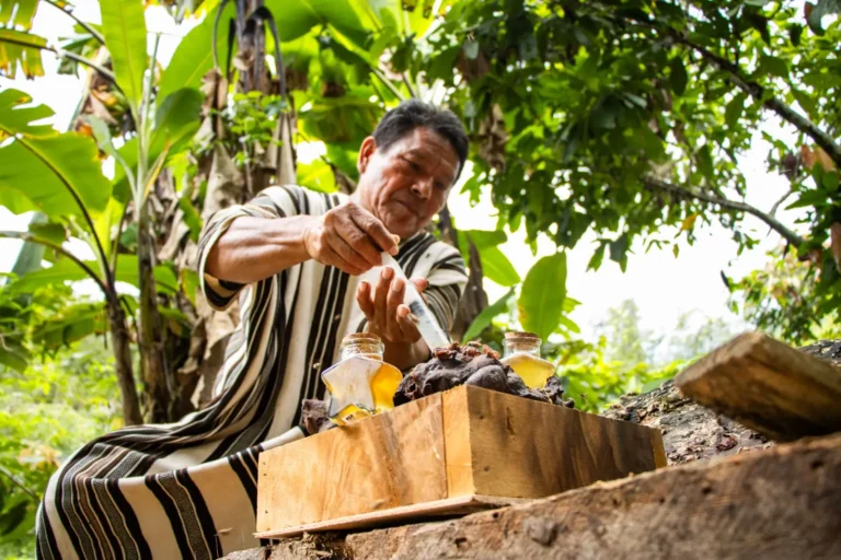 Comunidades asháninkas de Río Tambo producen miel ecológica con abejas sin aguijón
