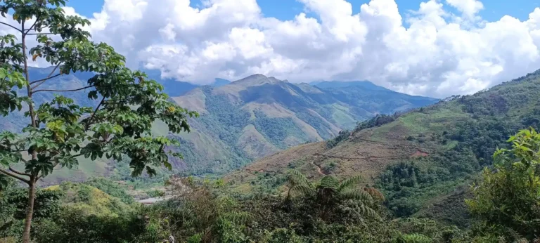 Huánuco: Proponen creación de nueva Área de Conservación Regional el Alto Monzón