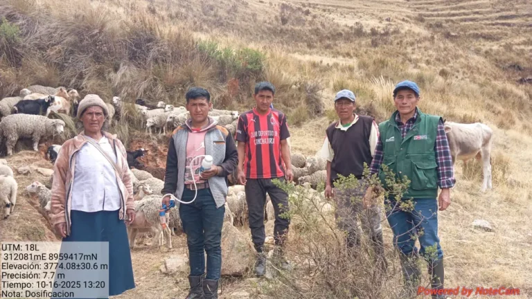 Huamalíes: Entregan semillas, cobertizos y asistencia técnica en seis distritos impactados por heladas y lluvias