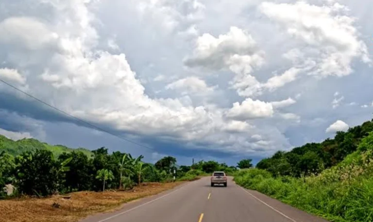 Senace aprueba mejoras ambientales en corredor vial Amazonas Norte