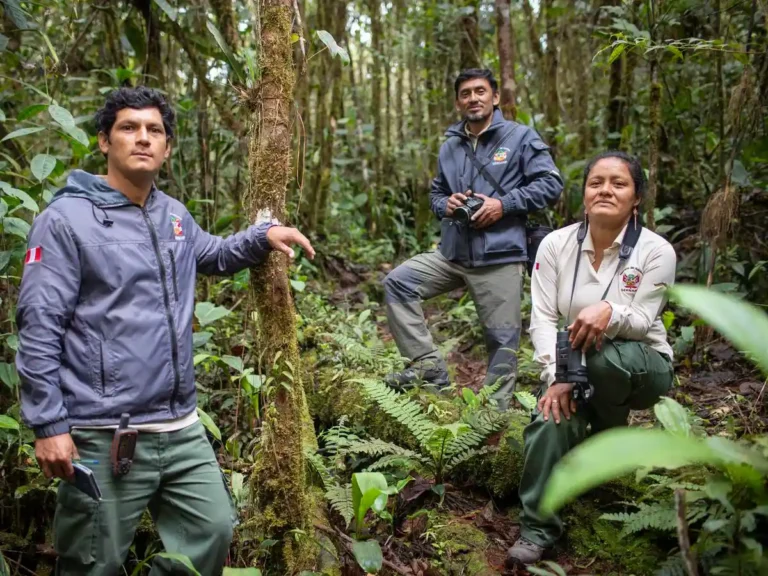 Perú celebra el Día de las Áreas Naturales Protegidas destacando el trabajo de sus guardaparques