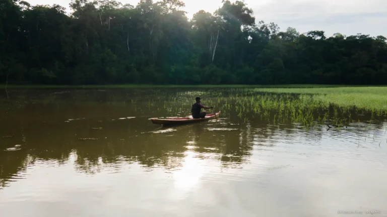 Reconocen a la concesión Lago Preto Paredón como la primera OMEC en Loreto tras 19 años de gestión sostenible