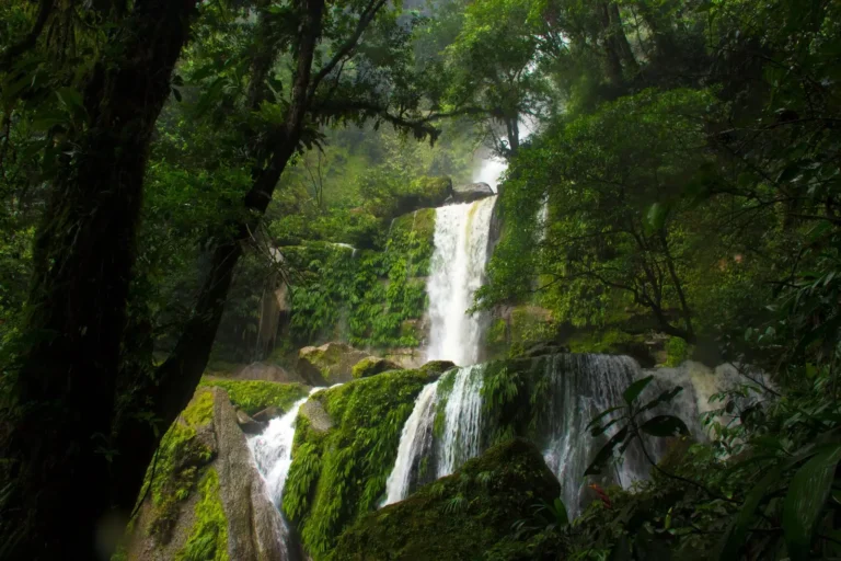 Perú y Singapur abren convocatoria para proyectos que reduzcan emisiones de gases de efecto invernadero