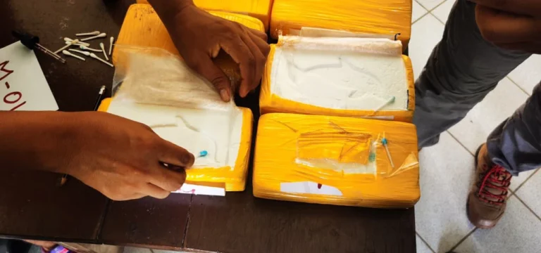 Incautan más de 11 kilos de cocaína escondidos en tanque de combustible en San Martín