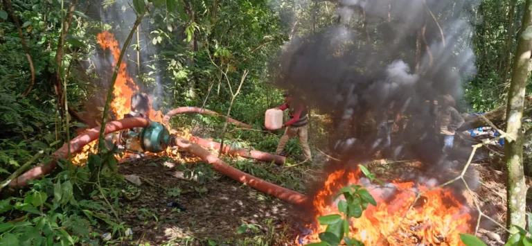 Huánuco: Destruyen maquinaria de minería ilegal en el Área de Conservación Regional Bosque Montano de Carpish