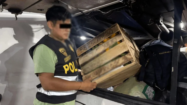 Incautan más de siete kilos de cocaína camuflados en jaba de plátanos en Tingo María