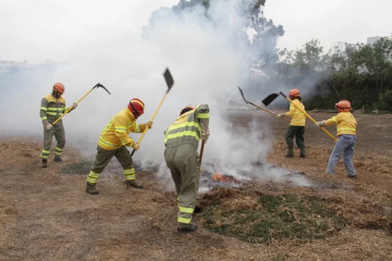 Capacitan a brigadistas en prevención de incendios con la Mochila Forestal