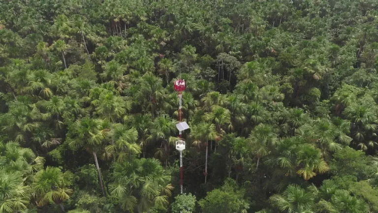 Instituto de Investigaciones de la Amazonía Peruana recibirá premio internacional por su labor científica