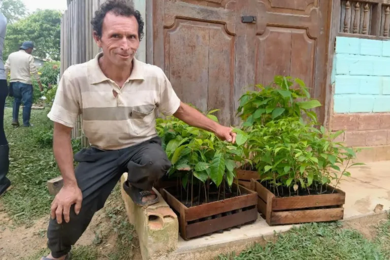 San Martín: Comunidad recibe 3200 plantones para recuperar áreas degradadas