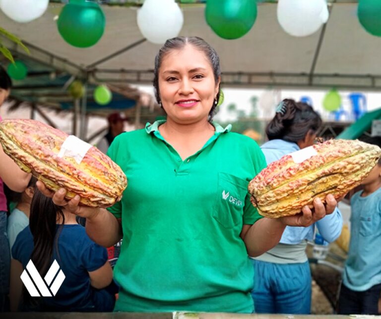 Perú, líder mundial: Conserva el 72% del material genético de cacao del planeta