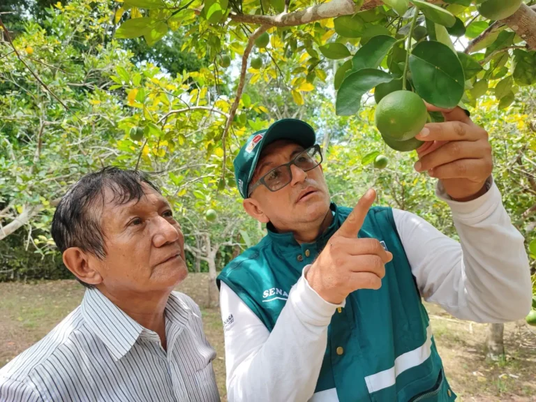 Especialistas del SENASA se entrenan en nuevas regulaciones europeas sobre producción orgánica