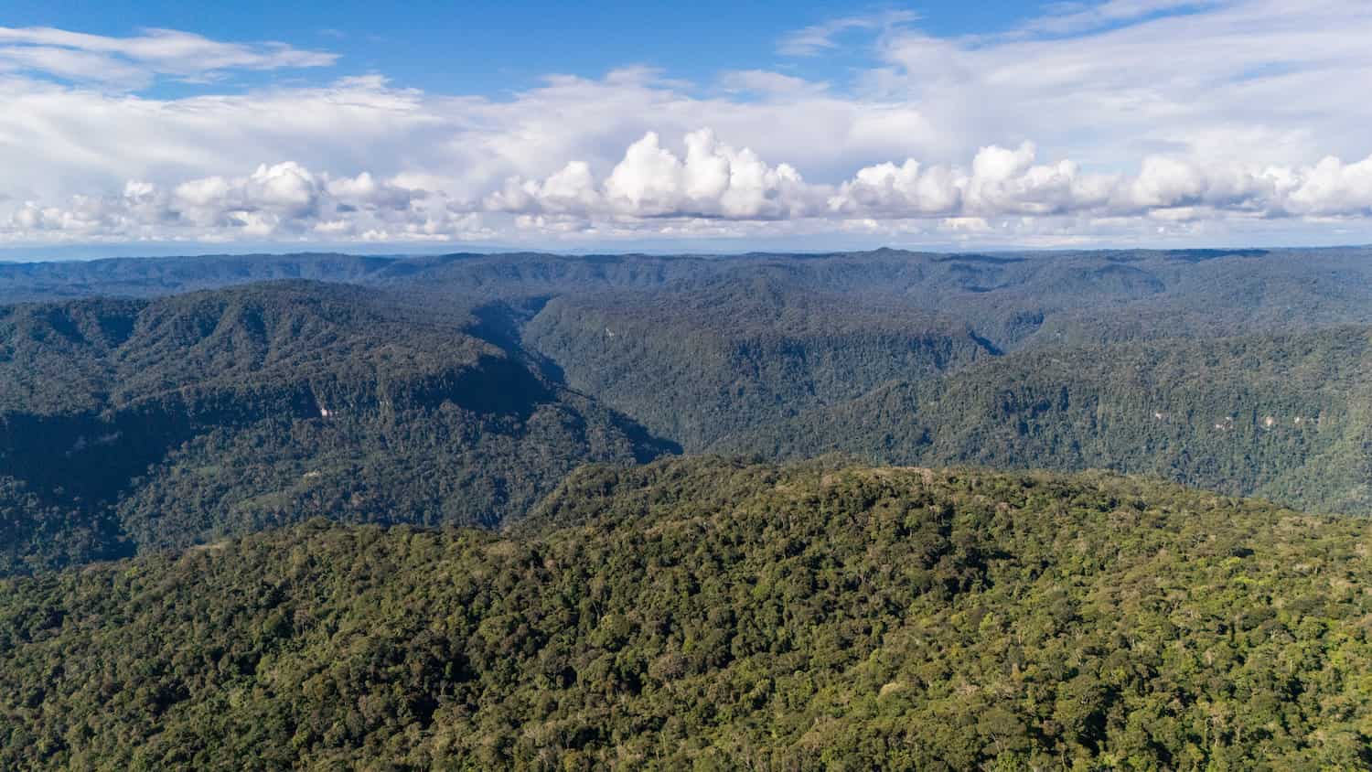 Foto: Consorcio Kowen Antami