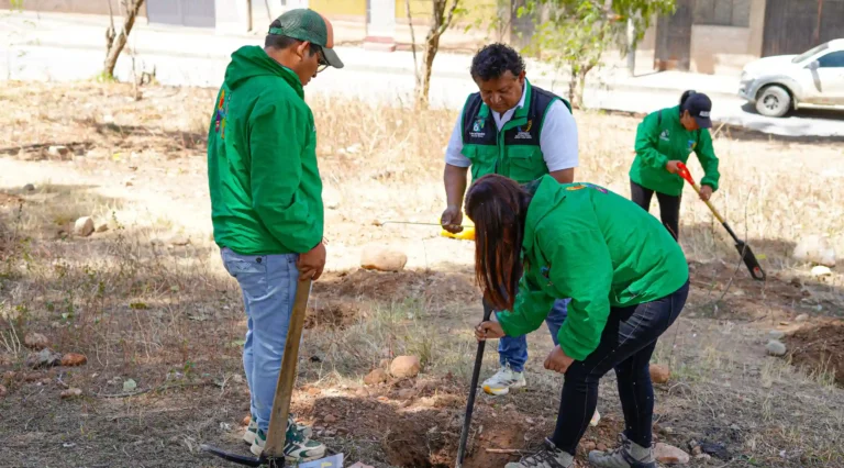 Más de cinco distritos de Huánuco participan en campaña descentralizada de reforestación