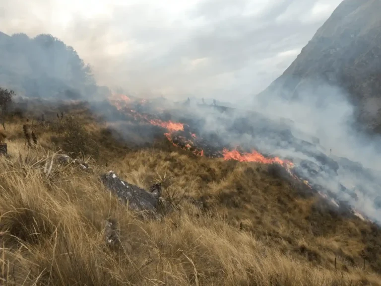 Alerta de la ONU: El progreso de la conservación forestal pende de un hilo por la aceleración de la crisis climática