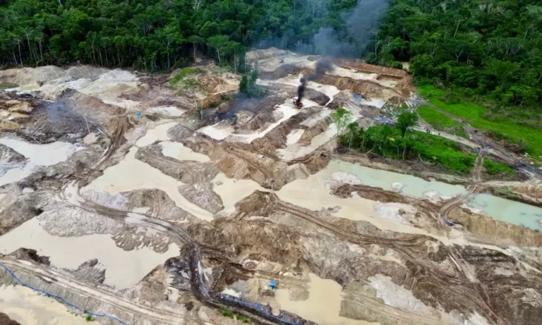 Huánuco: Destruyen maquinaria de minería ilegal que avanzaba sobre el Área de Conservación Privada Panguana
