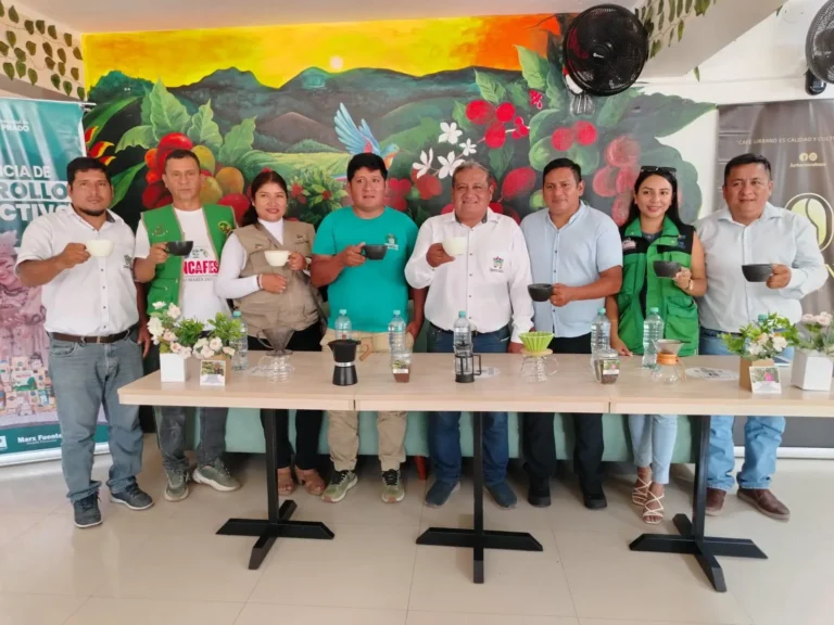 Los 20 mejores cafés del Alto Huallaga se subastarán en Huánuco