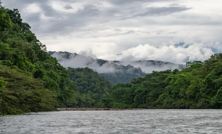 Grupo La República e Inforegión sellan alianza para fortalecer el periodismo ambiental y regional