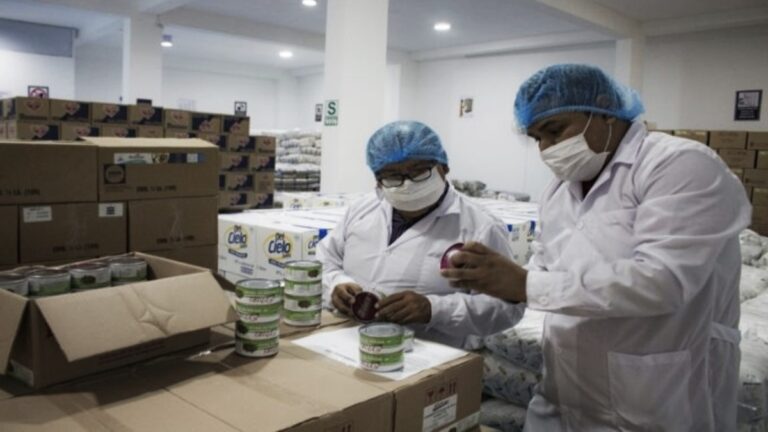 Arequipa: colegios con riesgo por falta de fumigación y control de alimentos de Wasi Mikuna