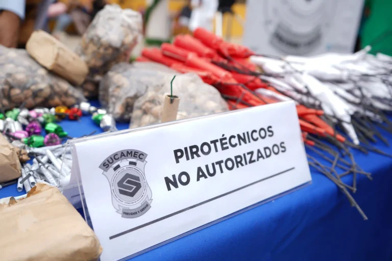 Alerta por pirotécnicos: Advierten sobre riesgos para menores en fiestas de fin de año
