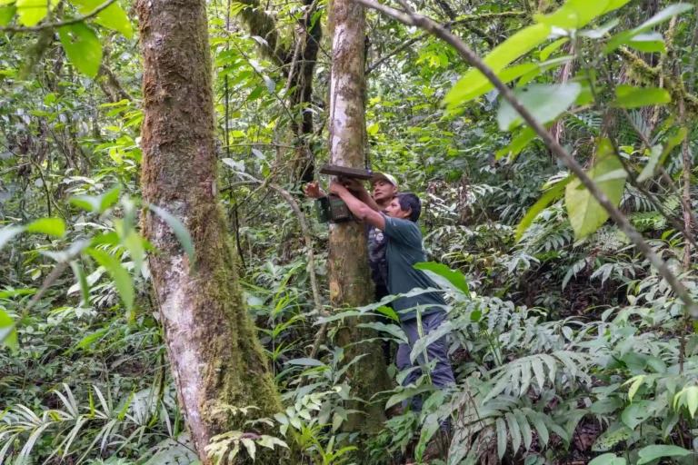 “Los biólogos son fundamentales para enfrentar la crisis ambiental»
