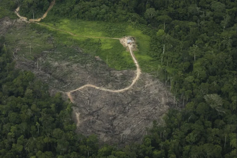Retrocesos ambientales en Perú ponen en «jaque» el Acuerdo Comercial con la Unión Europea