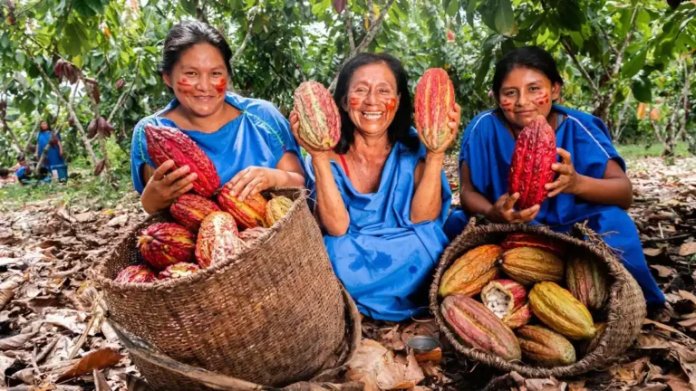 La FAO busca movilizar US$ 70 millones para que la Amazonía combata el hambre sin comprometer su riqueza