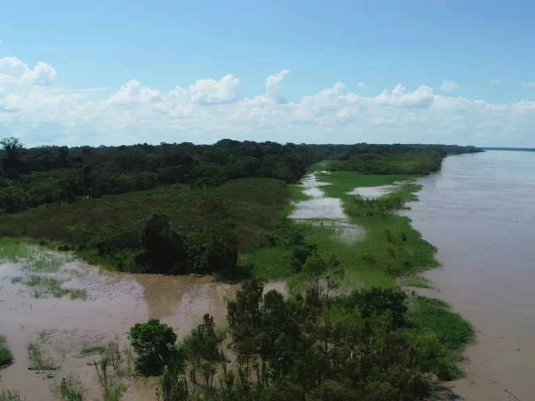 Desvío del río Ucayali genera pérdida de suelos y daños en viviendas y caminos