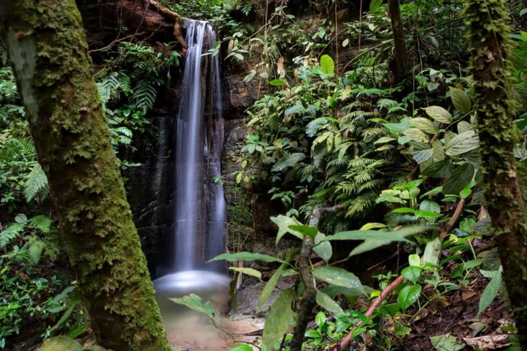 Aguas Calientes Maquía: La alianza entre el Estado y comunidades indígenas para proteger las «termas» de la Amazonía