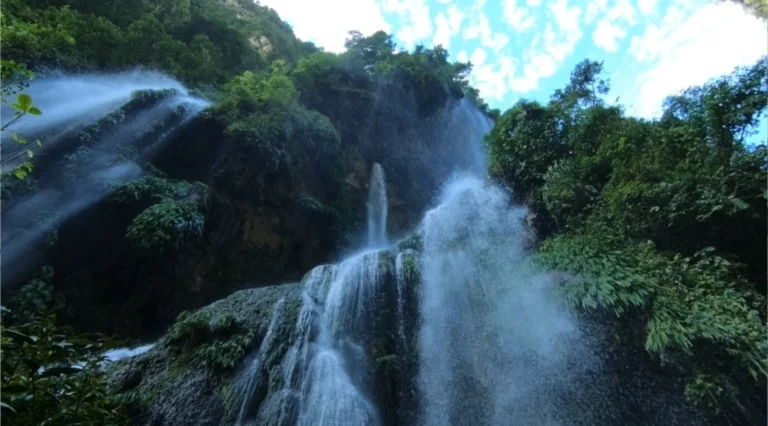 Huánuco: ACR Carpish recibe donación que potencia patrullajes y control del bosque