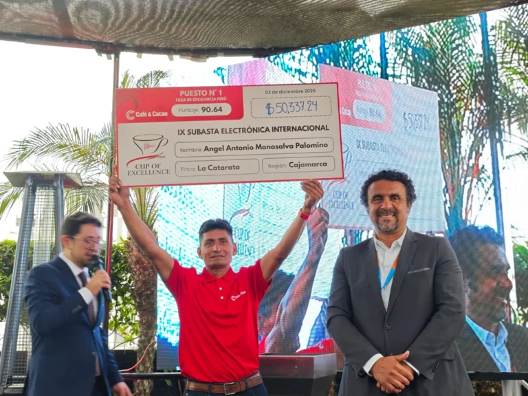 Taza de Excelencia Perú 2025 alcanza récord histórico con subasta de US$490 mil