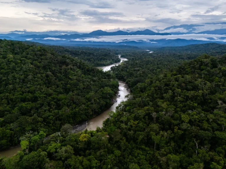 Cusco: Propuesta de ACR Bosques del Araza logra importante avance para proteger más de 56 mil hectáreas