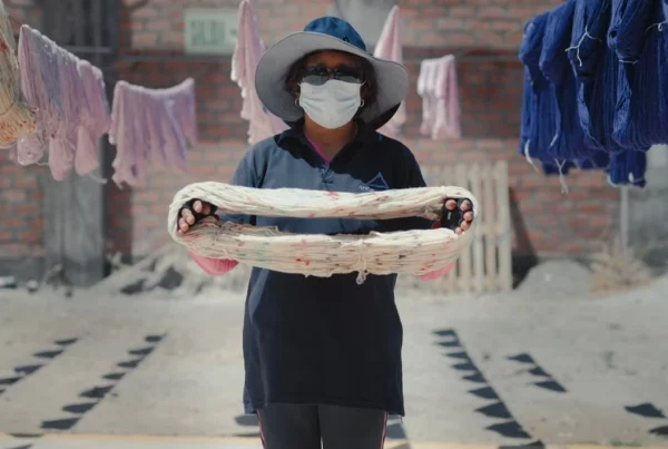 Andes Yarn decidió romper este ciclo mediante una reingeniería de su matriz energética, incorporando paneles solares térmicos y fotovoltaicos para reducir su dependencia de combustibles fósiles. (Foto: DIfusión)