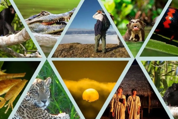 El Ministerio del Ambiente aprobó el Plan de Acción al 2030, instrumento clave de la Estrategia Nacional de Diversidad Biológica al 2050, para establecer acciones y metas medibles orientadas a la conservación y uso sostenible de la biodiversidad en el país. (Foto: Difusión)