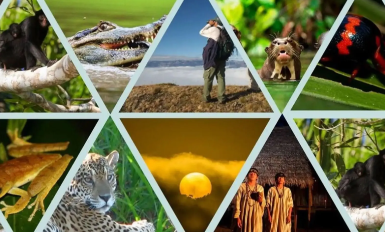 El Ministerio del Ambiente aprobó el Plan de Acción al 2030, instrumento clave de la Estrategia Nacional de Diversidad Biológica al 2050, para establecer acciones y metas medibles orientadas a la conservación y uso sostenible de la biodiversidad en el país. (Foto: Difusión)