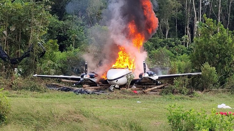 El operativo permitió destruir tres avionetas y ocasionó una pérdida económica cercana al millón de dólares a las organizaciones criminales involucradas. (Foto: Difusión)