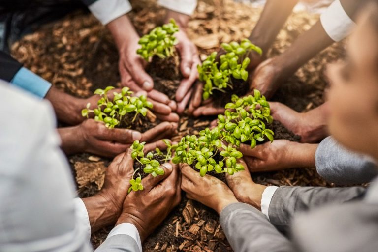 El estudio de APEC advierte que, sin una Infraestructura de la Calidad robusta —normalización, metrología y acreditación—, las políticas de economía circular carecen de eficiencia y confianza. (Foto: Difusión)
